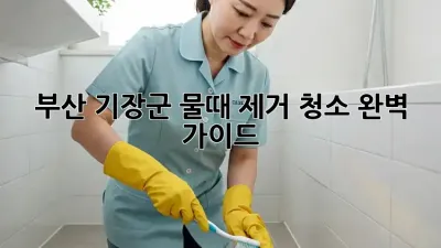 부산 기장군 물때 제거 청소 완벽 가이드