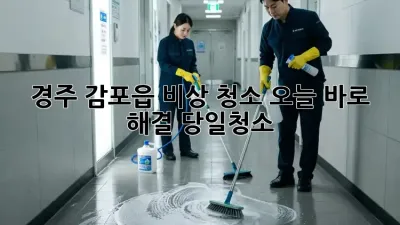 경주 감포읍 비상 청소🚨 오늘 바로 해결! #당일청소