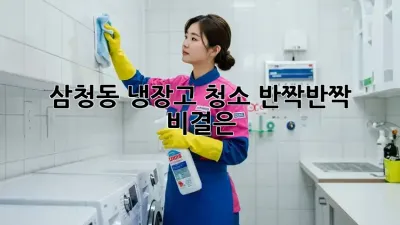 삼청동 냉장고 청소, ✨반짝반짝✨ 비결은?
